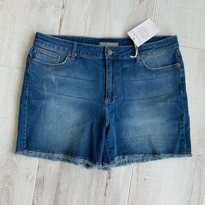 Garnet Hill Denim Girlfriend Shorts NWT
